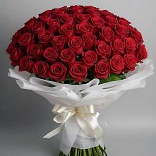 Букет 101 Красная роза Блэк Мэджик #REPLACE_PRED# Рождествено Самарской области