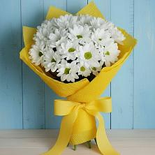 Букет цветов из:  Хризантемы в Рождествено Самарской области