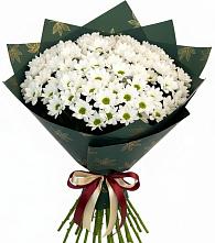 Букет цветов из:  Хризантемы в Рождествено Самарской области