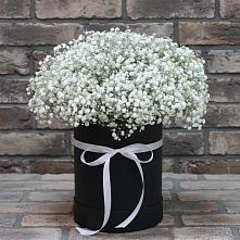 Цветочная композиция из Гипсофила в шляпной коробке в Рождествено Самарской области