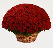 Премиум букет из: Розы в Рождествено Самарской области